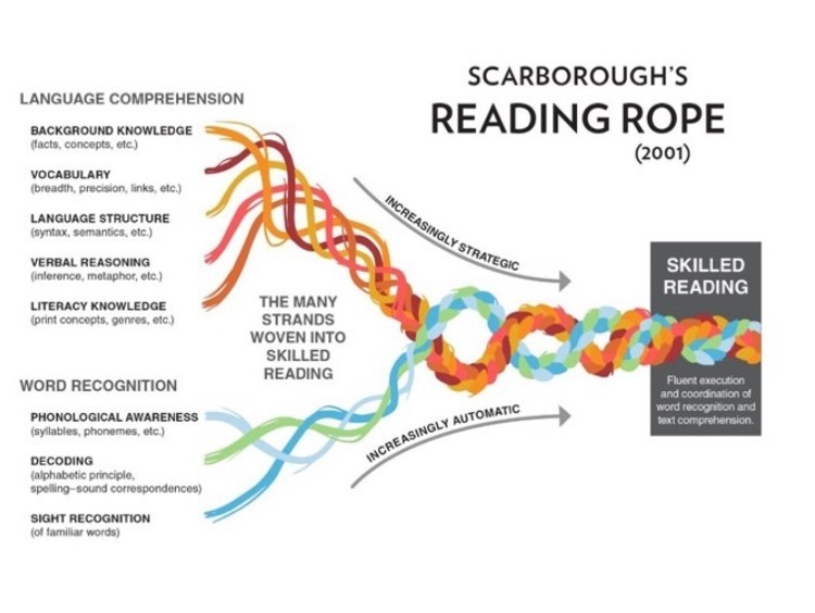 Teaching Reading is Science Hackleburg Elementary School
