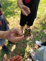 Butterfly release